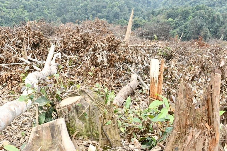 Định hình tương lai đa dạng sinh học - Bài 2: “Báo động đỏ” về động vật hoang dã tại Việt Nam