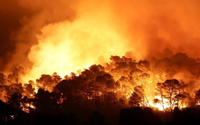 Định hình tương lai đa dạng sinh học - Bài 2: “Báo động đỏ” về động vật hoang dã tại Việt Nam