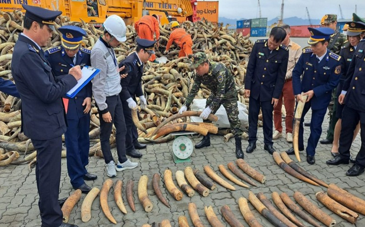 Định hình tương lai đa dạng sinh học - Bài 2: “Báo động đỏ” về động vật hoang dã tại Việt Nam