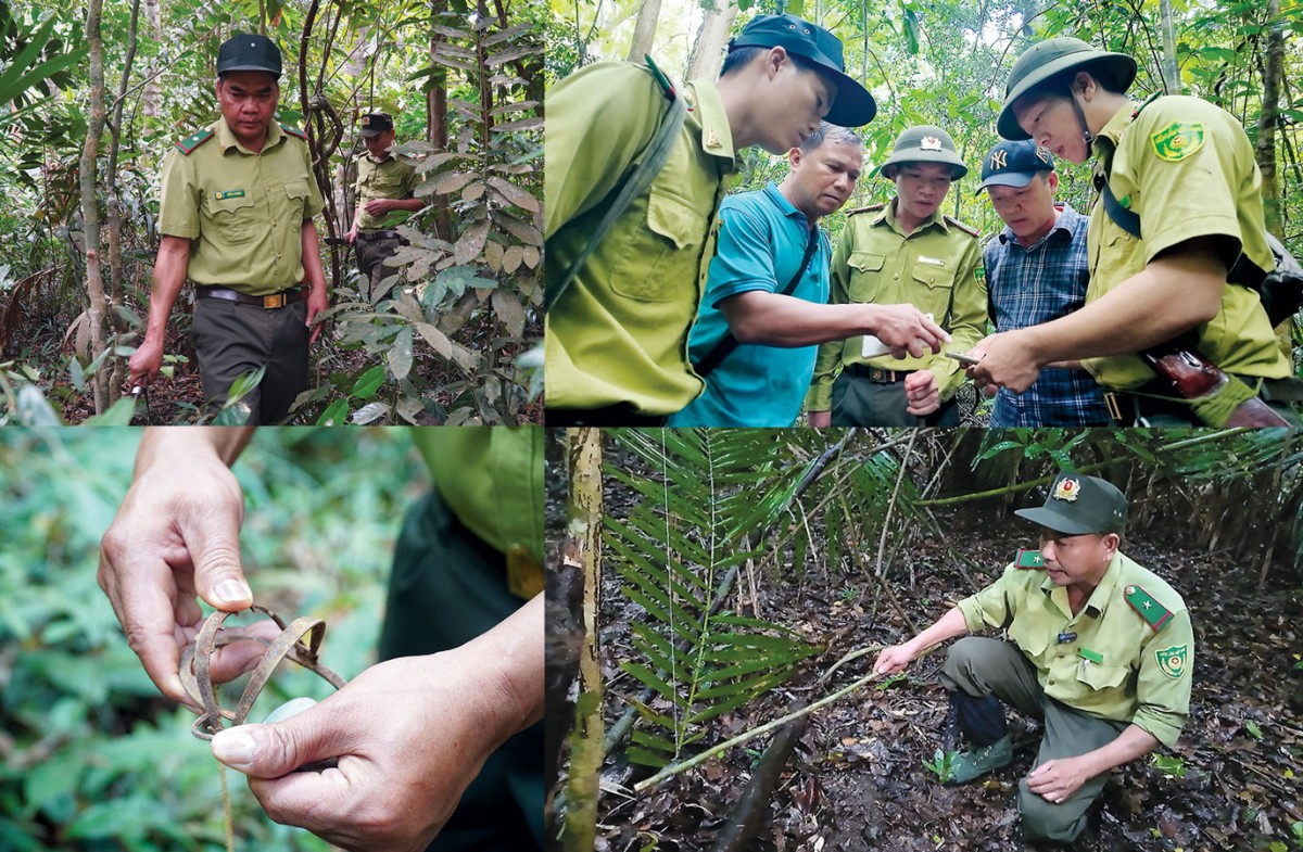 Định hình tương lai đa dạng sinh học - Bài 3: "Giải bài toán" bảo tồn động vật hoang dã tại Việt Nam?