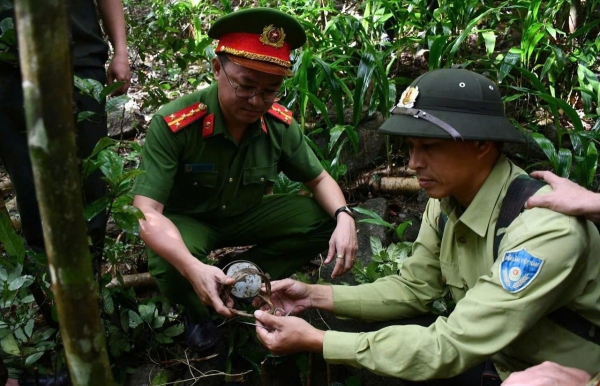 Đà Nẵng truy quét bẫy săn trái phép tại Sơn Trà, thu giữ nhiều bẫy xâm hại động vật hoang dã
