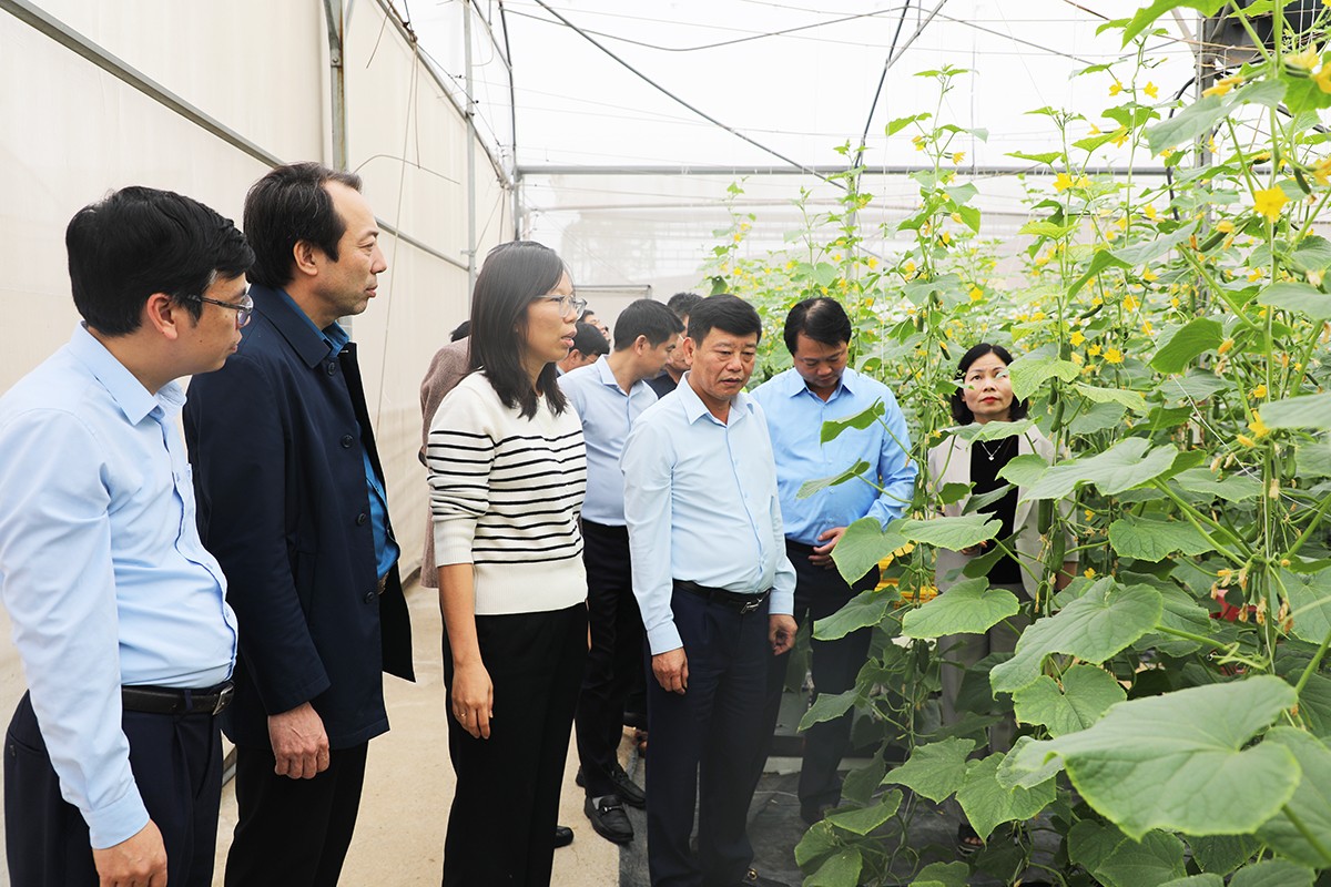 Bắc Ninh: Đẩy mạnh ứng dụng khoa học công nghệ trong hoạt động sản xuất