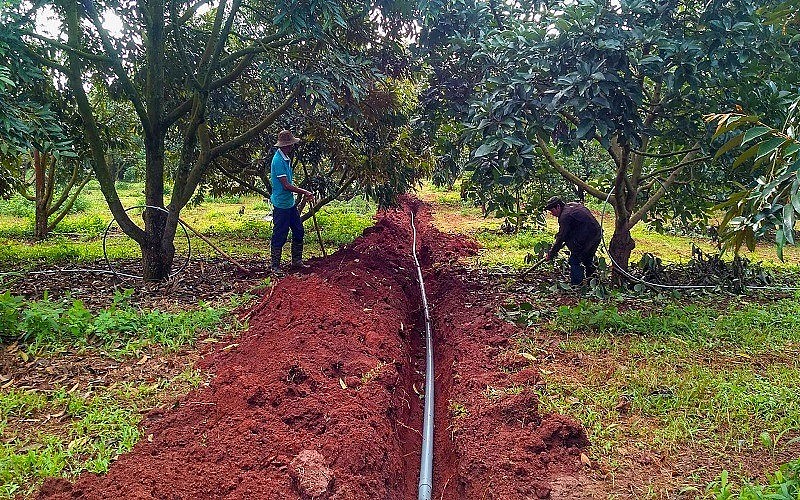 Tưới thông minh - Giải pháp xanh cho vùng hạn mặn Vĩnh Long