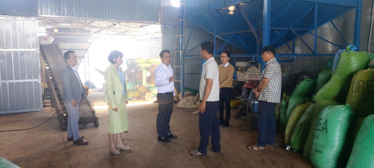 Yêu cầu lò sấy cà phê của Công ty TNHH MTV Thuận Diễn chấm dứt hoạt động trước ngày 15/12/2025