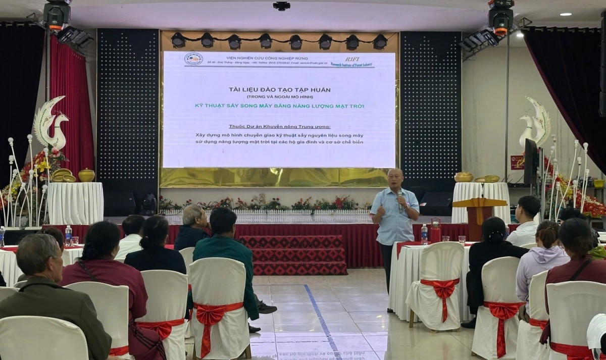 Quảng Trị: Tập huấn chuyển giao kỹ thuật sấy nguyên liệu song mây sử dụng năng lượng mặt trời