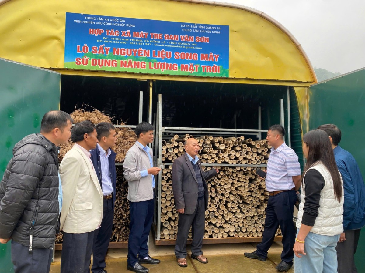 Quảng Trị: Tập huấn chuyển giao kỹ thuật sấy nguyên liệu song mây sử dụng năng lượng mặt trời
