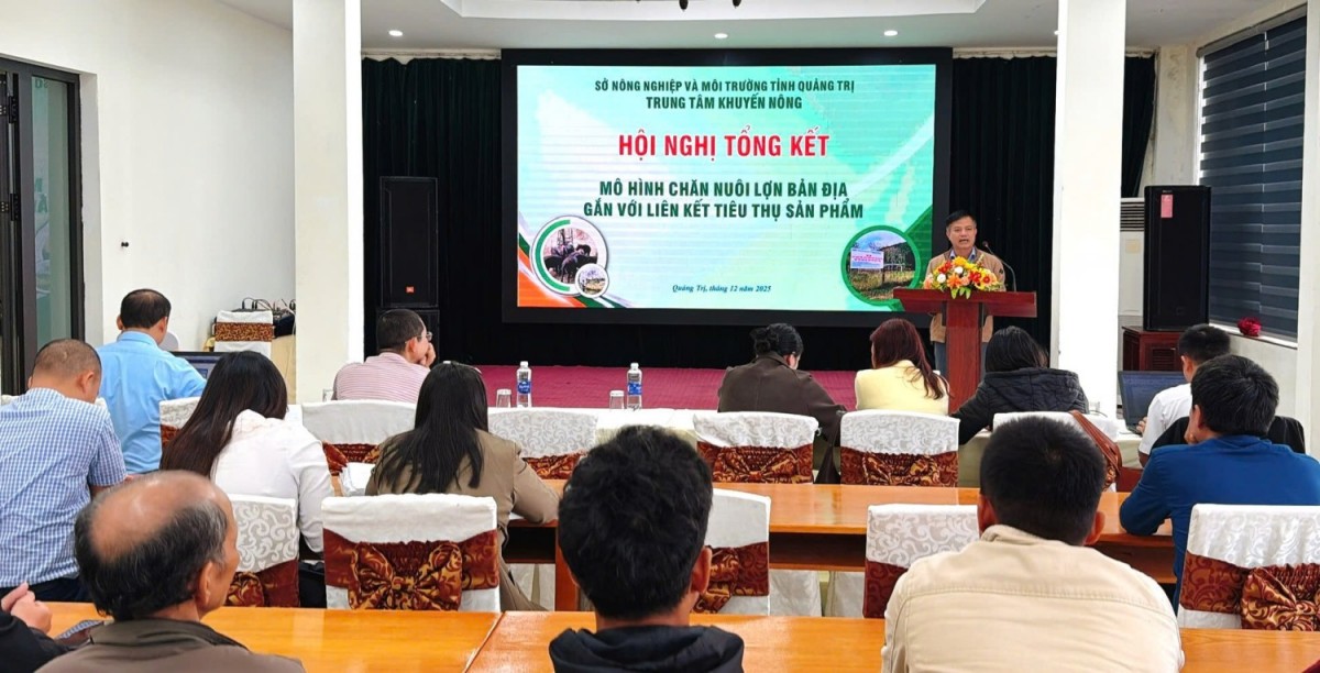 Quảng Trị: Tổng kết mô hình chăn nuôi lợn bản địa liên kết tiêu thụ sản phẩm