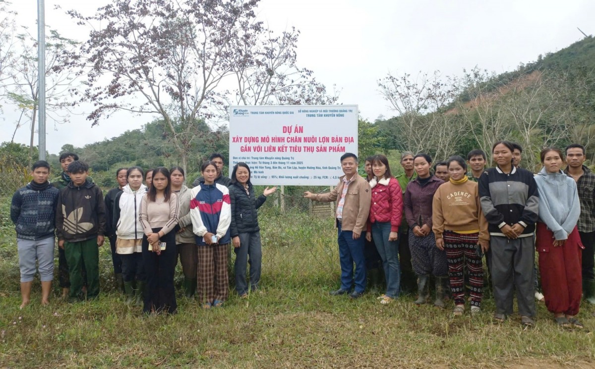 Quảng Trị: Tổng kết mô hình chăn nuôi lợn bản địa liên kết tiêu thụ sản phẩm