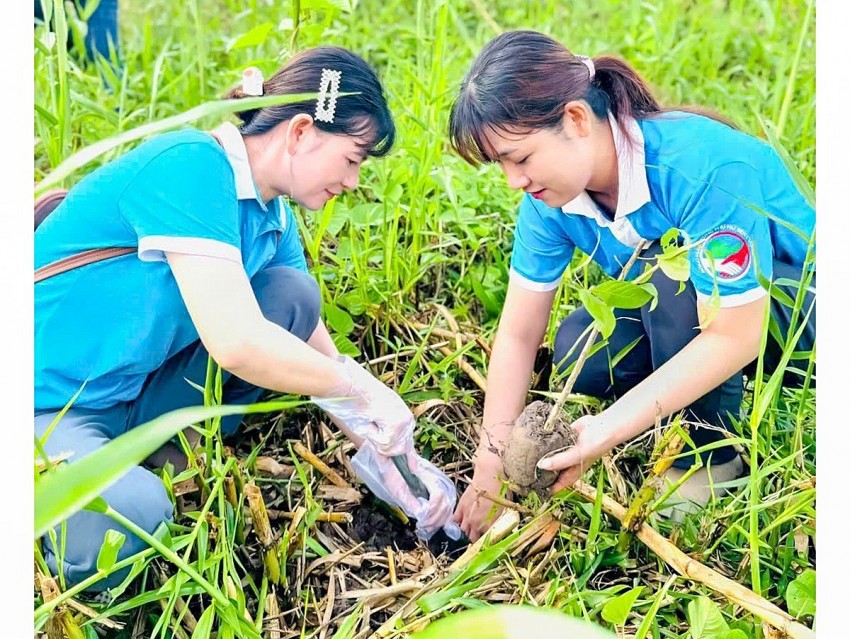 Đẩy mạnh phát triển rừng và cây xanh phân tán