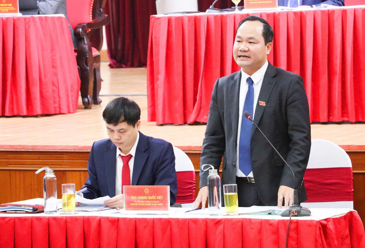 Giám đốc Sở NN&MT Nghệ An: “Hỗ trợ trồng rừng mới sau bão cho người dân”