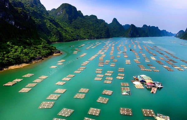 Giai đoạn phát triển mới, nơi kinh tế biển xanh tiếp tục được dẫn dắt bằng tư duy tiên phong