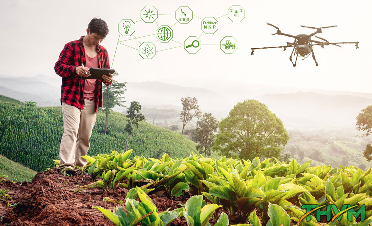 Phát triển nông nghiệp thông minh từ góc nhìn hiện thực
