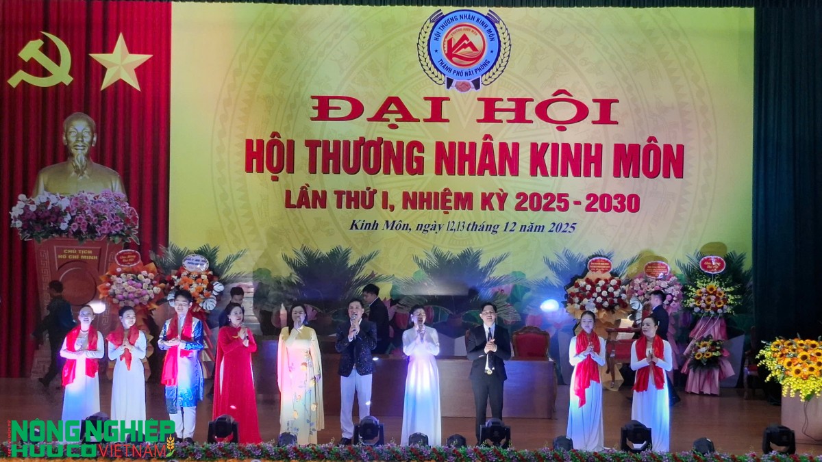 Đại hội Hội Thương nhân Kinh Môn lần thứ I - Định hướng, dẫn dắt, kết nối doanh nghiệp phát triển