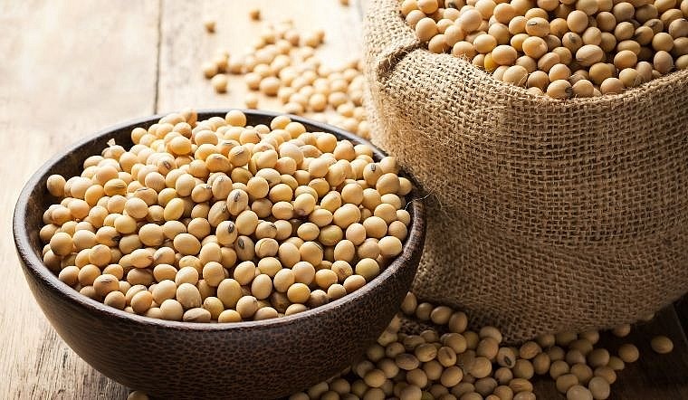 Tối ưu hiệu quả khô dầu đậu nành trong thức ăn chăn nuôi - Chăn nuôi Việt Nam