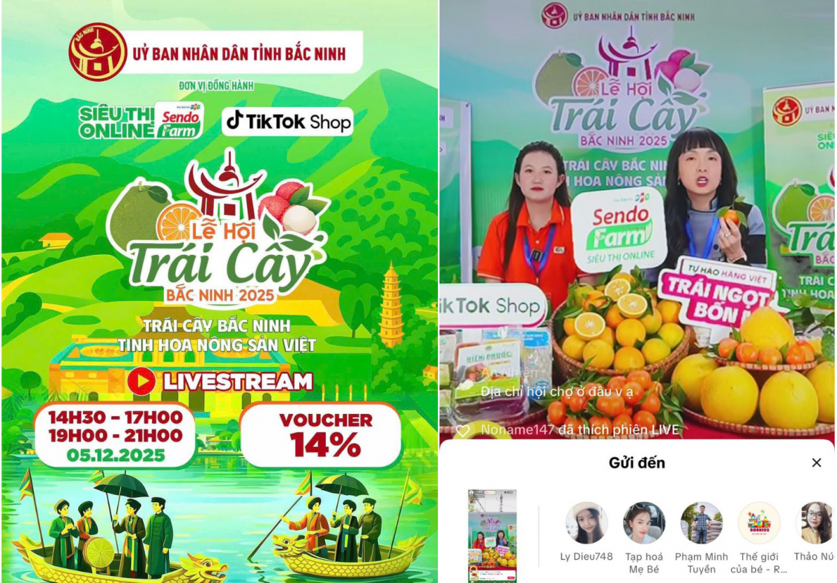 Từ lễ hội đến 