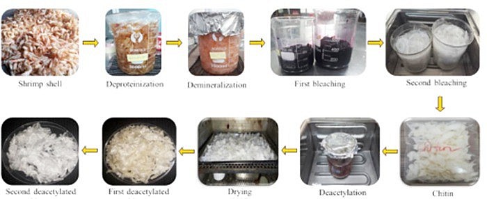 Vật liệu giữ nước từ vỏ tôm giúp chống hạn cho cây trồng - Cổng thông tin điện tử Cục Thông tin, Thống kê