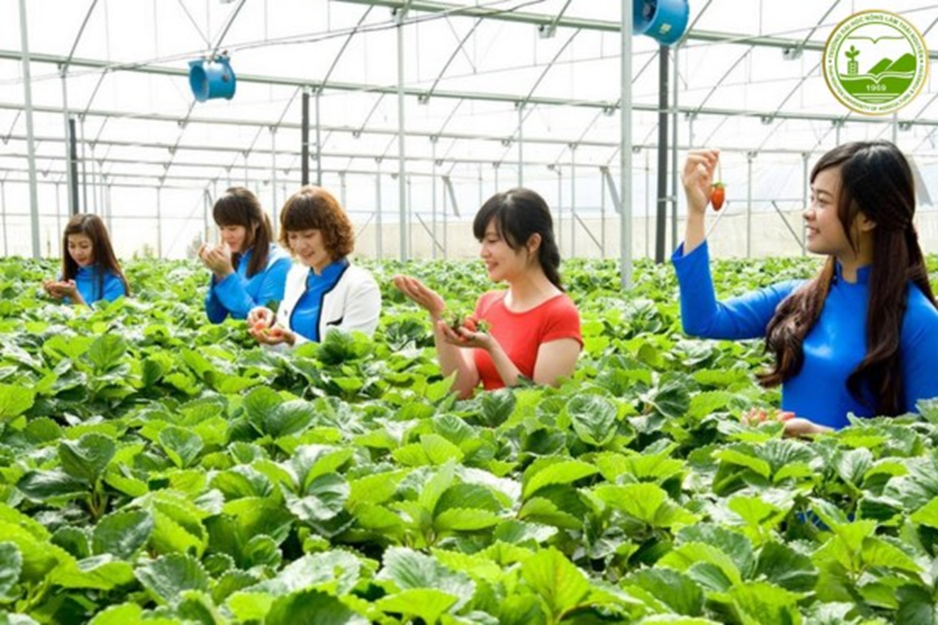 Lợi ích vượt trội của nông nghiệp thông minh: 