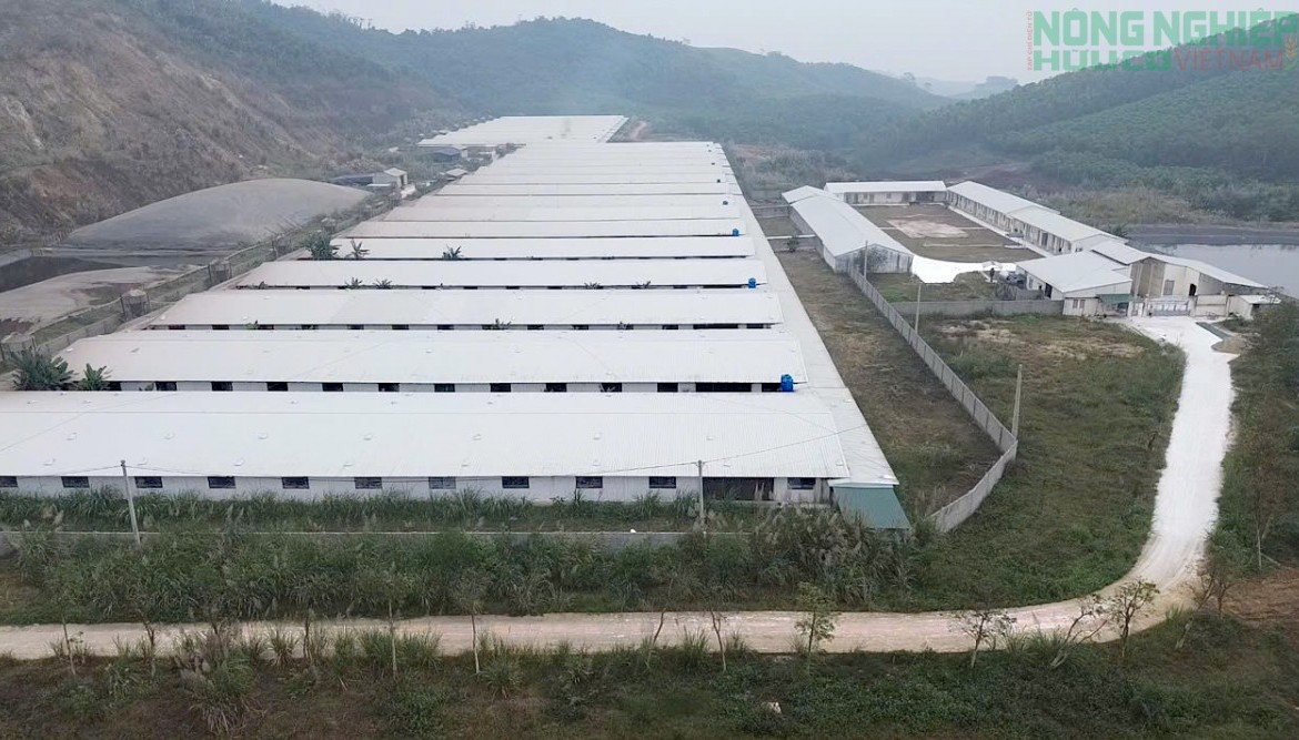 Nghệ An: Nghi nước đổi màu do trang trại lợn xả thải, Sở Nông nghiệp và Môi trường vào cuộc kiểm tra