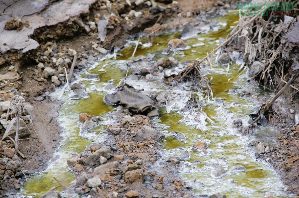 Nghệ An: Nước khe đổi màu nghi trang trại lợn xả thải, cả xóm thấp thỏm đóng kín cửa cả ngày