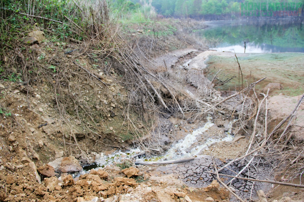 Nghệ An: Nước khe đổi màu nghi trang trại lợn xả thải, cả xóm thấp thỏm đóng kín cửa cả ngày