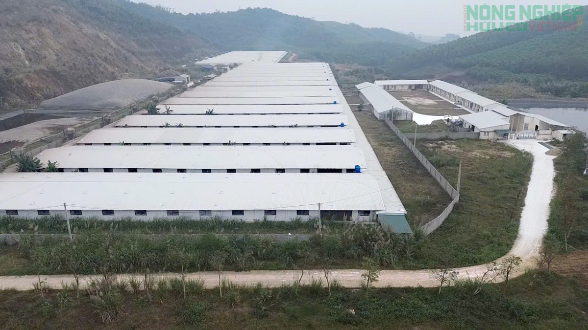 Nghệ An: Nước khe đổi màu nghi trang trại lợn xả thải, cả xóm thấp thỏm đóng kín cửa cả ngày