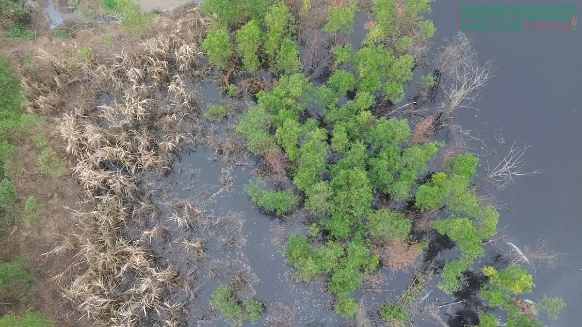 Nghệ An: Nước khe đổi màu nghi trang trại lợn xả thải, cả xóm thấp thỏm đóng kín cửa cả ngày