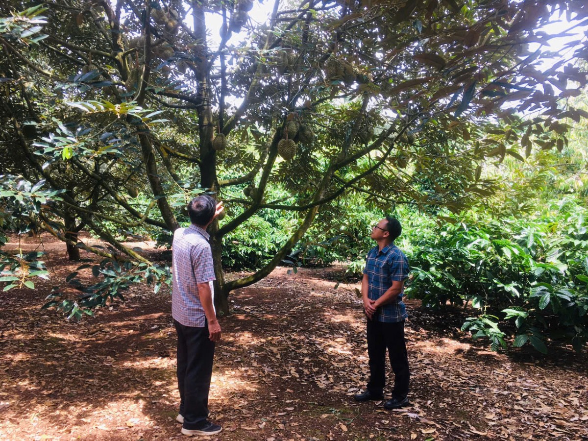 Canh tác xanh và tuần hoàn - 