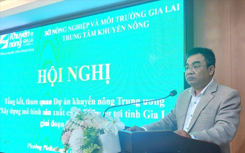 Gia Lai: Tổng kết Dự án xây dựng mô hình sản xuất cà phê hữu cơ
