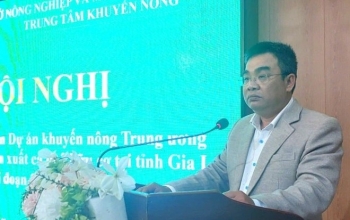 Gia Lai: Tổng kết Dự án xây dựng mô hình sản xuất cà phê hữu cơ