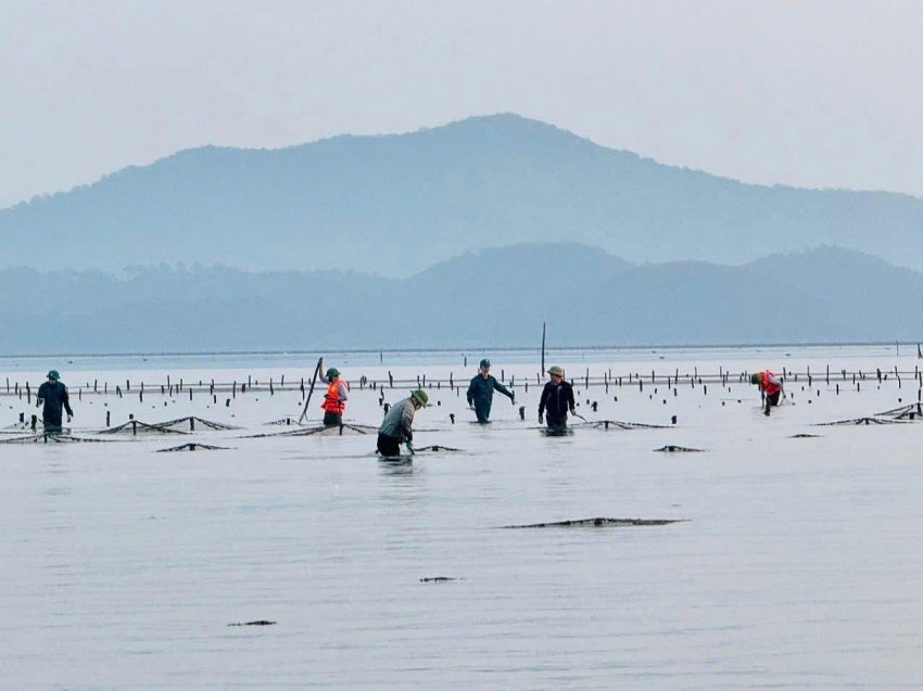 Xã Vĩnh Thực ra quân xử lý nuôi trồng thuỷ sản trái phép