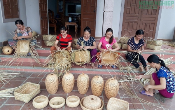 Nghệ An đẩy mạnh phát triển Hợp tác xã nông nghiệp ứng dụng công nghệ cao