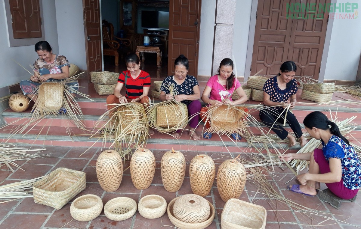 Nghệ An phát triển HTX nông nghiệp ứng dụng công nghệ cao gắn với chế biến và tiêu thụ sản phẩm