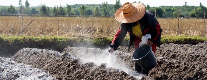 Tại sao phải bón vôi cho cây trồng?