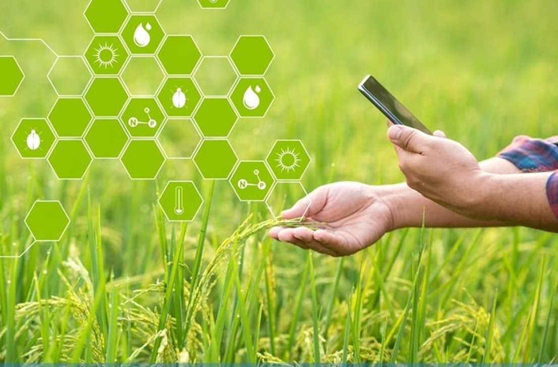 Nông nghiệp thông minh: Con đường tất yếu đến tương lai bền vững