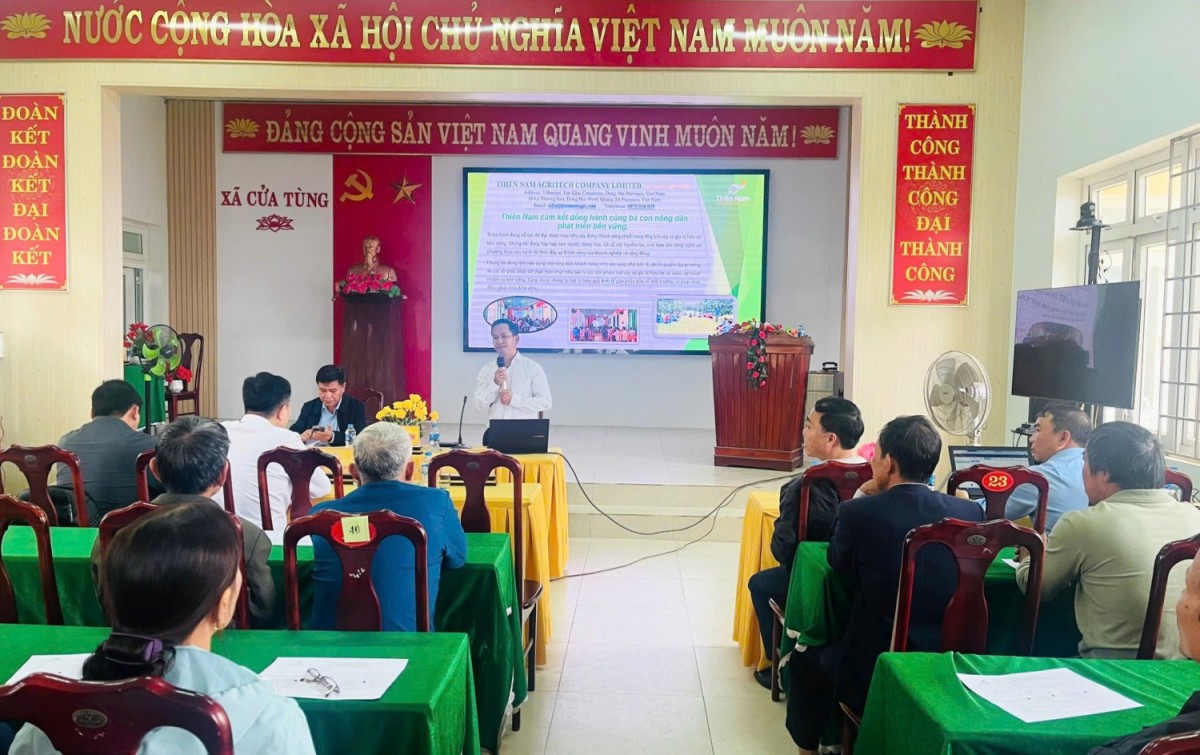Quảng Trị: Kết nối sản xuất và tiêu thụ sản phẩm tiêu hữu cơ tại xã Cửa Tùng