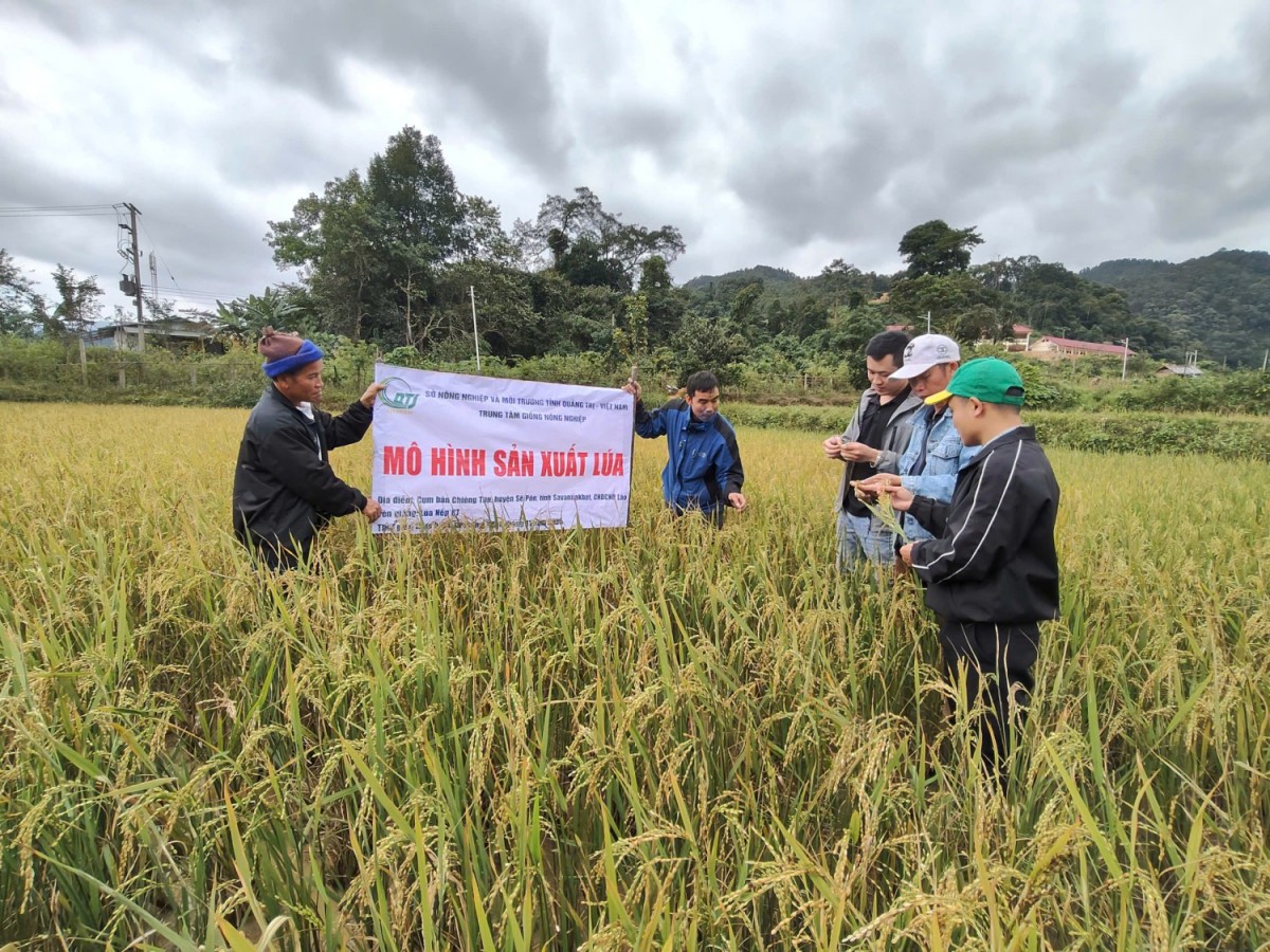 Hội nghị tổng kết hỗ trợ phát triển sản xuất nông nghiệp tại cụm bản Chiêng Túp