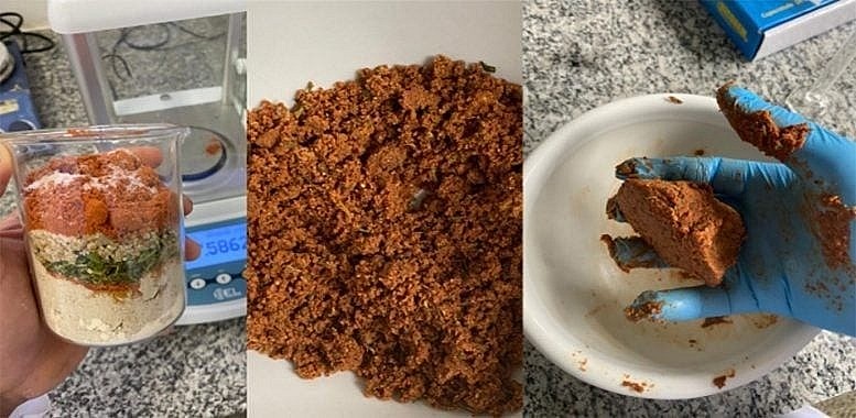 Protein từ hướng dương - tương lai của thực phẩm thay thế thịt thuần chay - Cổng thông tin điện tử Cục Thông tin, Thống kê