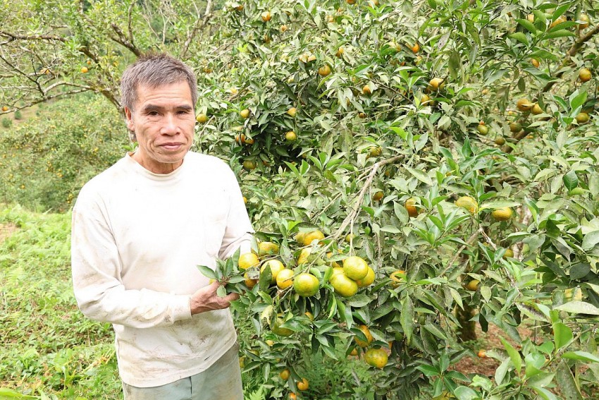 Bác Ngân Văn Hiên
