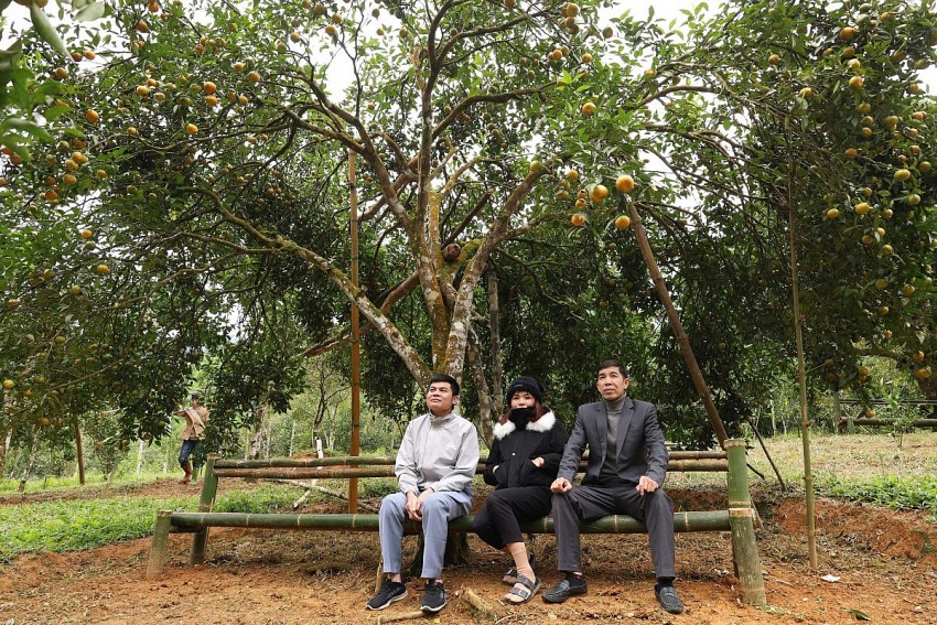 Du khách khi đến đây có thể tham quan, thưởng thức cam thoải mái.