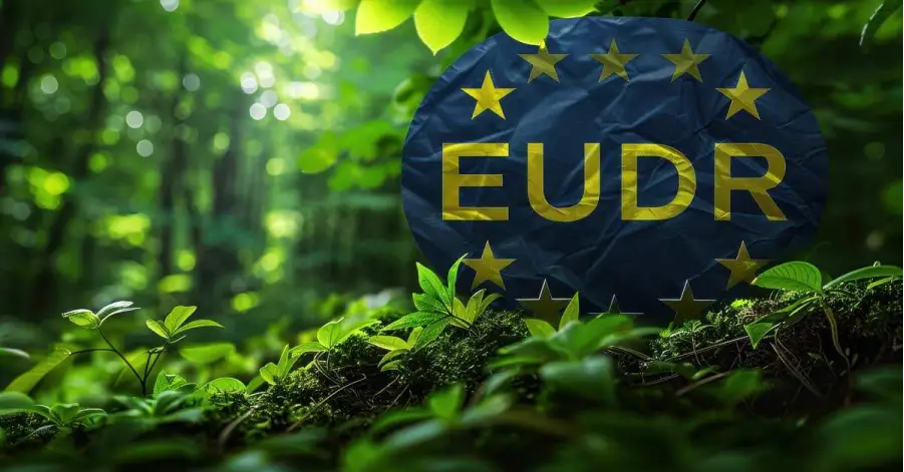 Các xu thế chủ đạo trong phát triển nông nghiệp hữu cơ