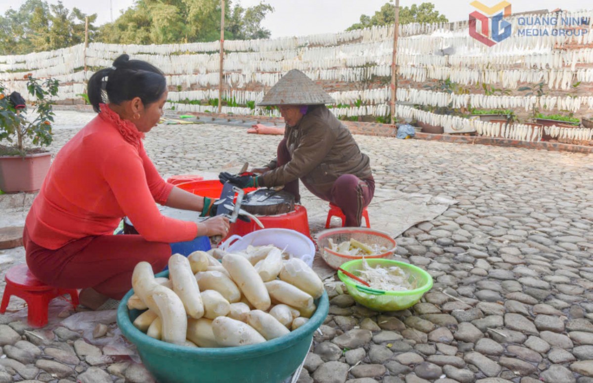 Quảng Ninh nâng tầm nông sản: Từ lợi thế bản địa đến giá trị thị trường
