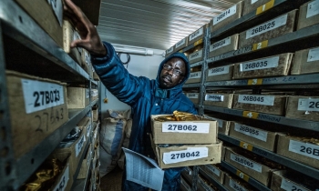 Những giống cây bị bỏ quên hàng chục năm được hồi sinh ở Kenya, thích ứng không ngờ với biến đổi khí hậu