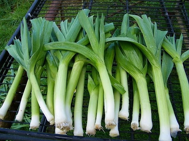 8 loại rau mà người Nhật ăn mỗi ngày, càng ăn càng khỏe, sống lâu: Ở chợ Việt mua rất dễ