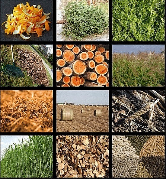 Than sinh học từ vỏ trấu giúp cải tạo độ mặn của đất nông nghiệp - Cổng thông tin điện tử Cục Thông tin, Thống kê