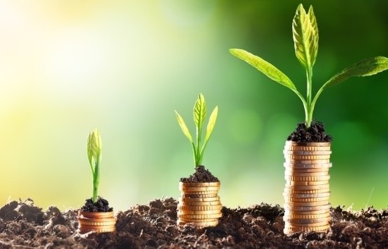 Gỡ “nút thắt” tín dụng xanh, mở dòng vốn cho nông nghiệp tăng trưởng bền vững