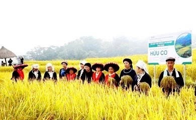 Nông nghiệp thông minh: Điểm sáng giảm nghèo ở Thái Nguyên