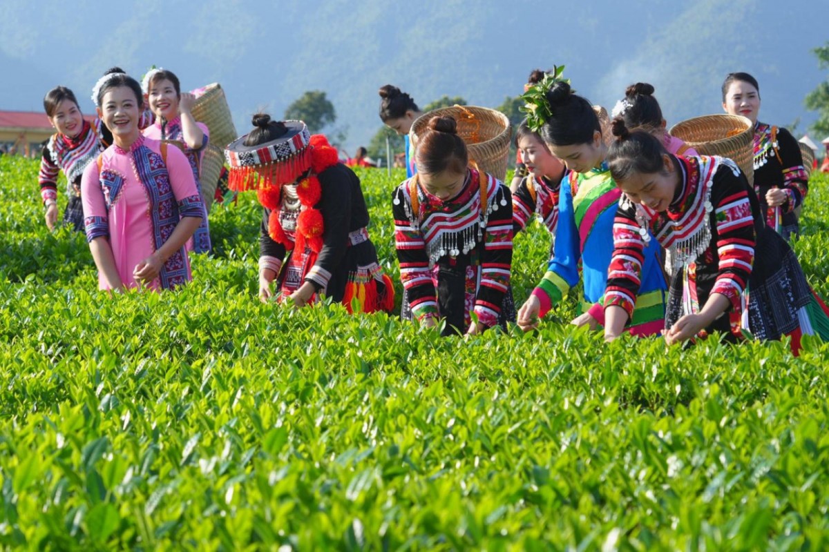 Nông nghiệp thông minh: Điểm sáng giảm nghèo ở Thái Nguyên