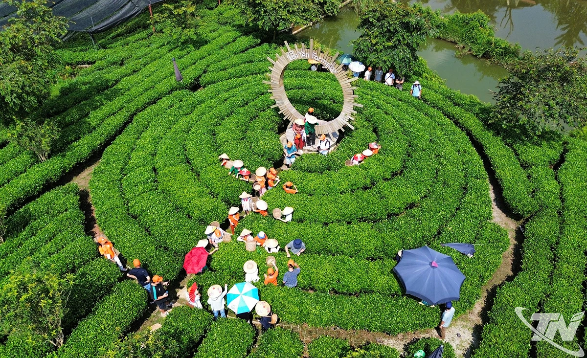 Nông nghiệp thông minh: Điểm sáng giảm nghèo ở Thái Nguyên