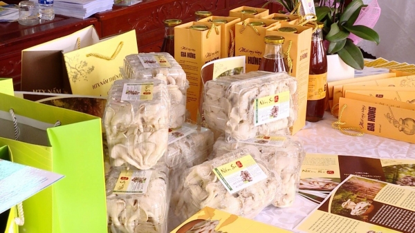 Ninh Bình công nhận kết quả đánh giá 34 sản phẩm OCOP năm 2025