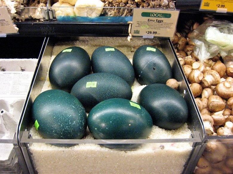 5 loại trứng đắt nhất hành tinh, giới nhà giàu săn lùng bằng được